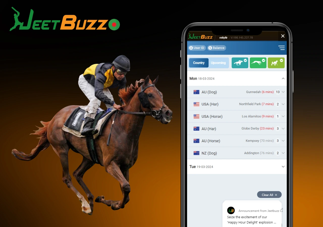 a wide range of horse betting options on a special platform called RCB988